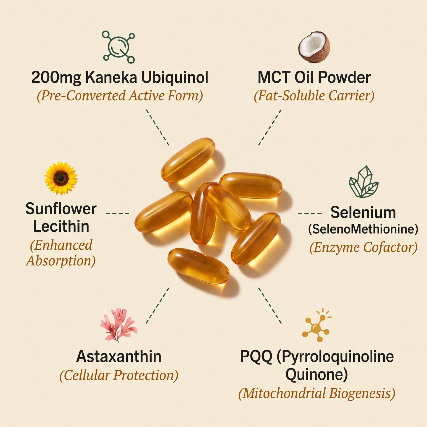 CoQ10 with Ubiquinol